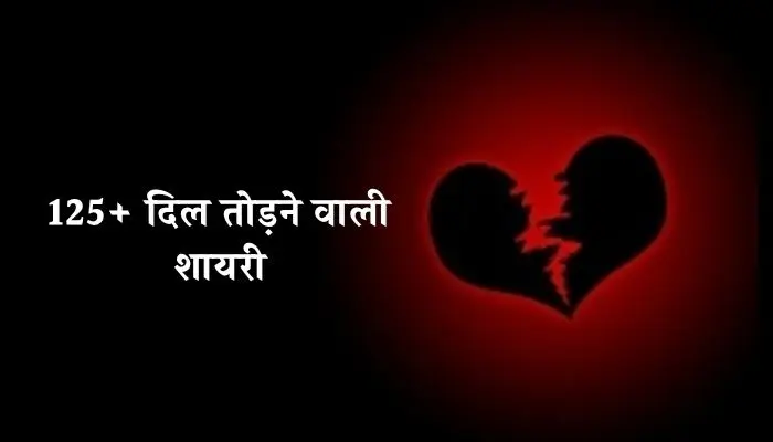 Dil Todne Wali Shayari